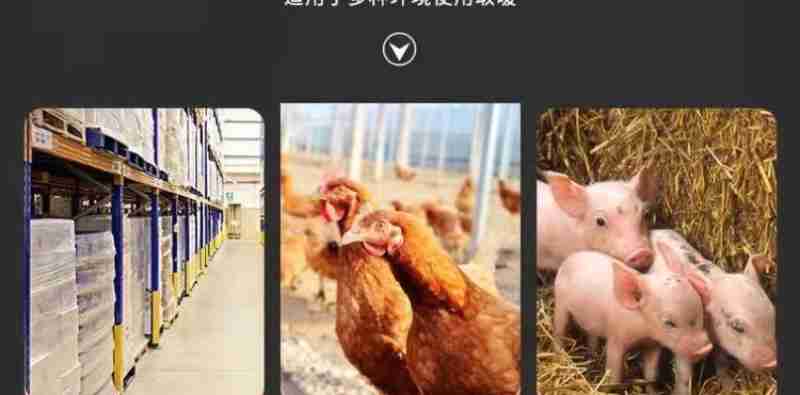 观展者正在咨询体验皮肤健康管理方案。人民网记者 黄盛摄